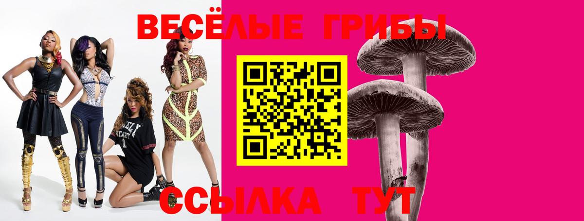 Альметьевск  Псилоцибиновые грибы мицелий  Вход с VPN 